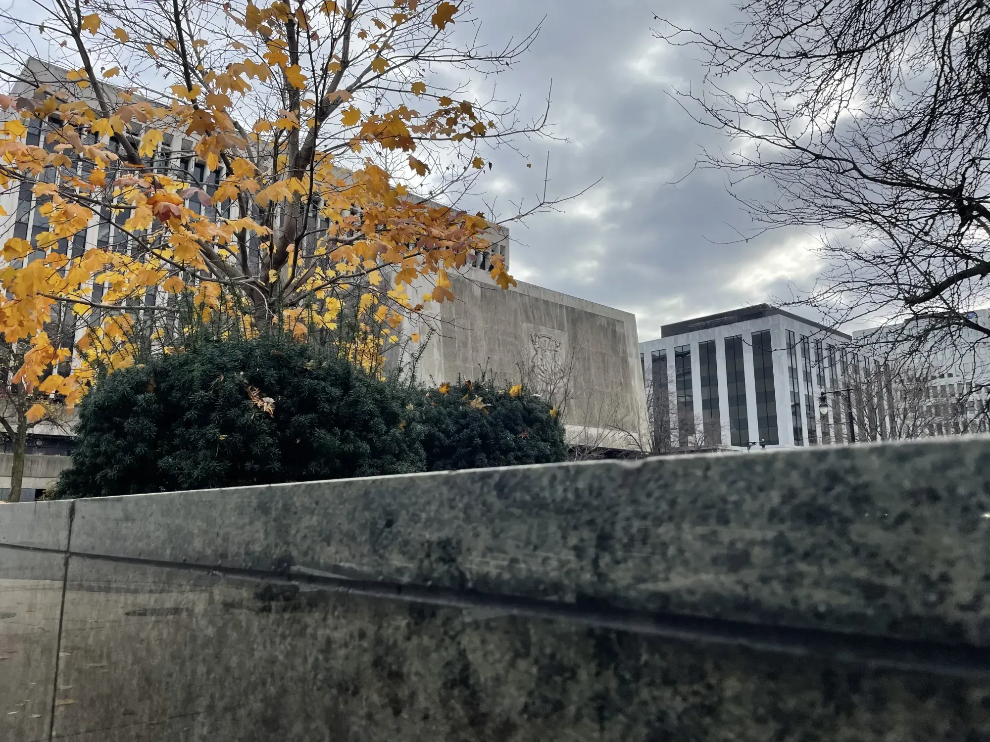 GR, MI - Zack Klimek timeline photo from 2023-11-22
